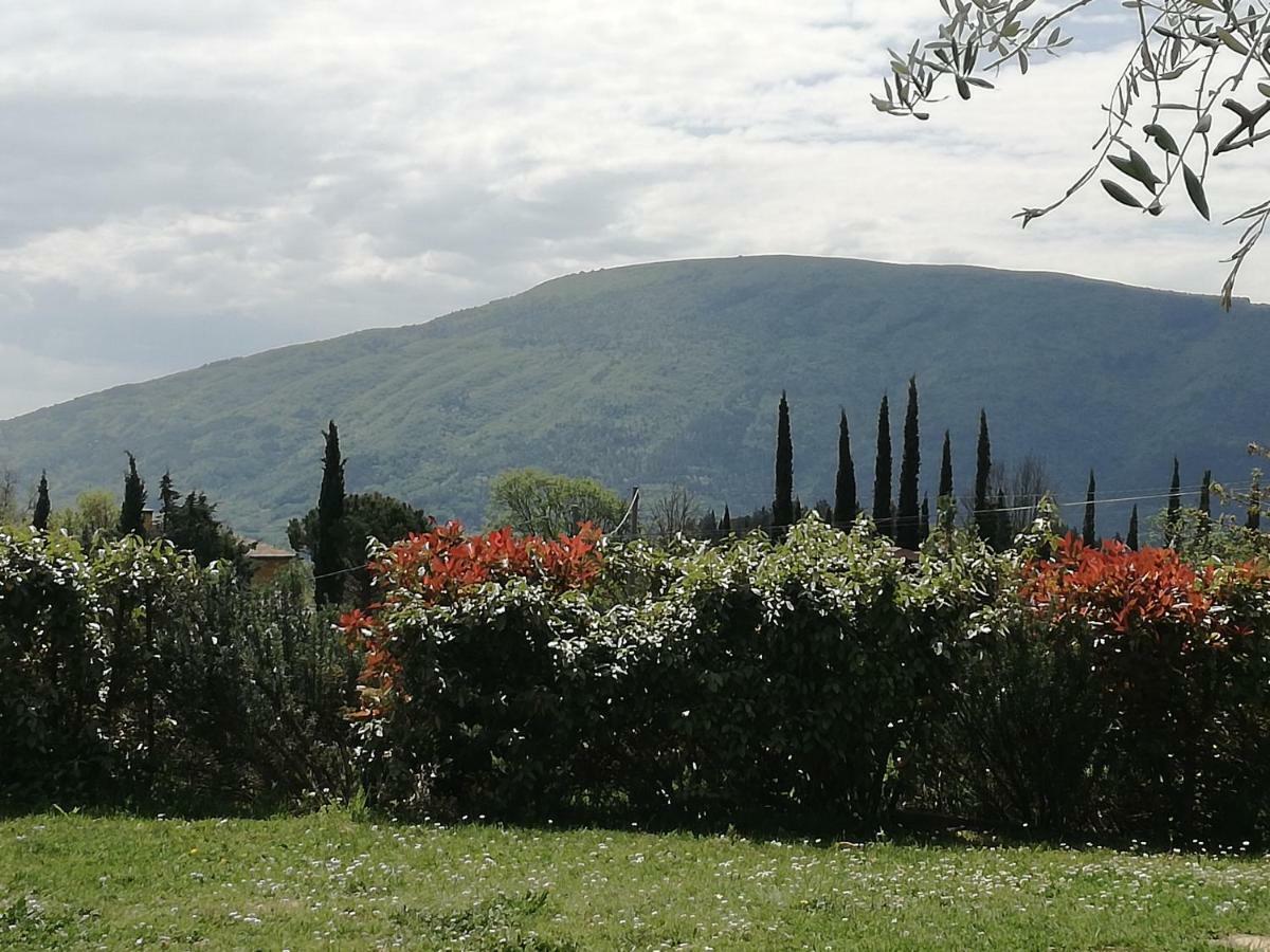 Colleparadiso Hotel Assisi Kültér fotó